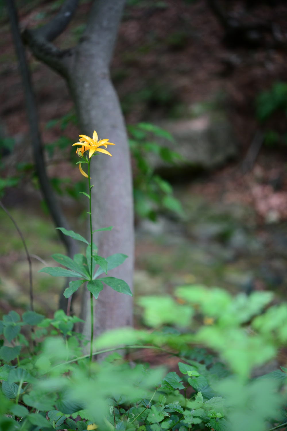 크기변환_DSC_7270.JPG