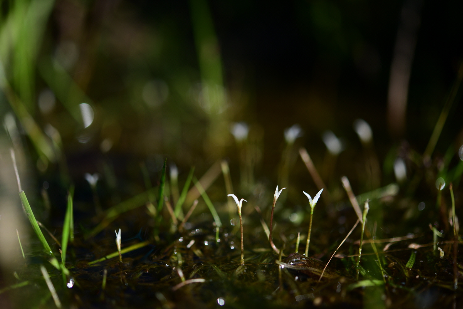 크기변환_DSC_6471.JPG