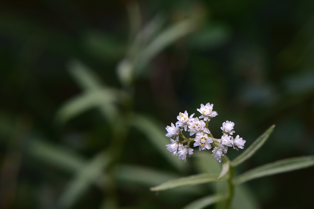 DSC_7311.JPG