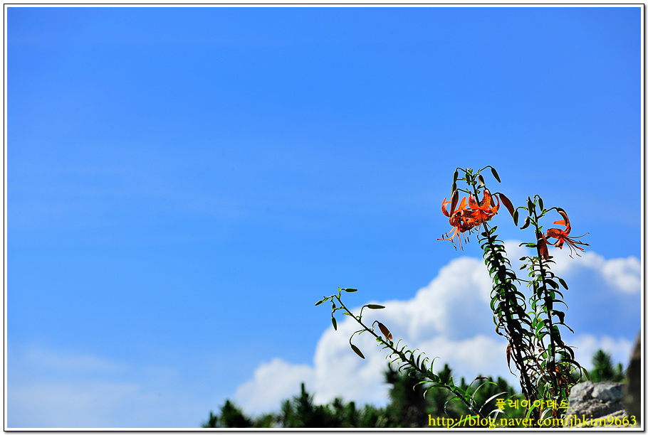DSC_4634.jpg