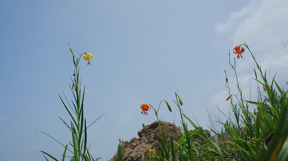 DSC06111.jpg