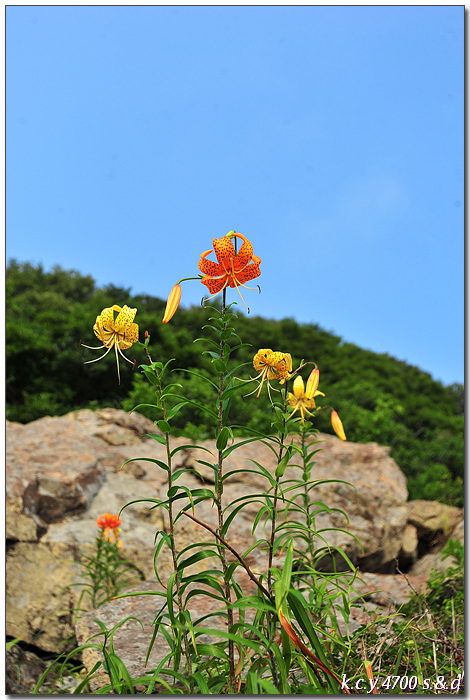 KCY_0179.jpg