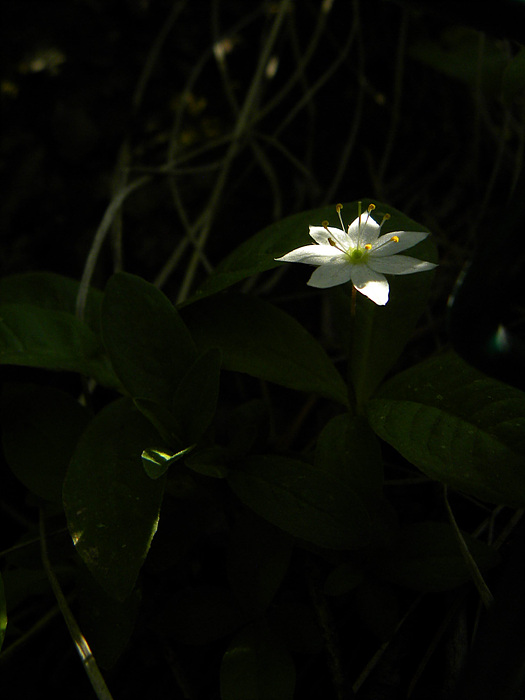 RSCN0029.jpg