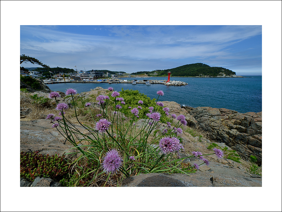 DSC_5942.jpg