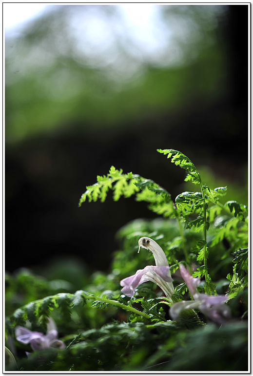 1-DSC_5237.jpg