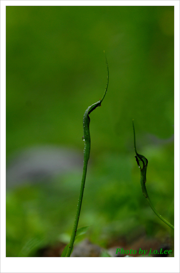 반하1.jpg
