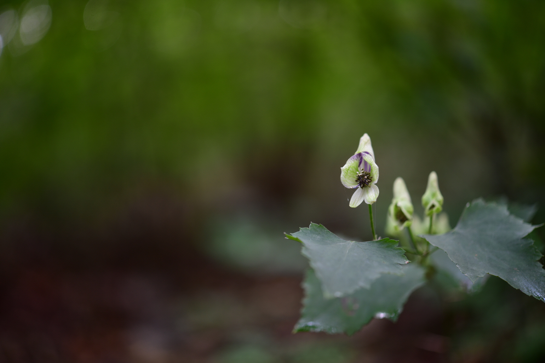 크기변환_DSC_1520.JPG