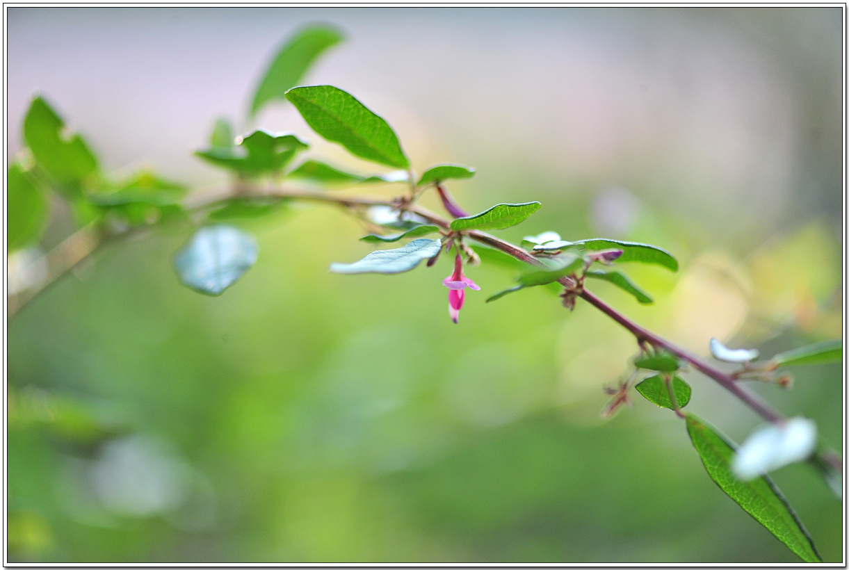 DSC_8857.jpg