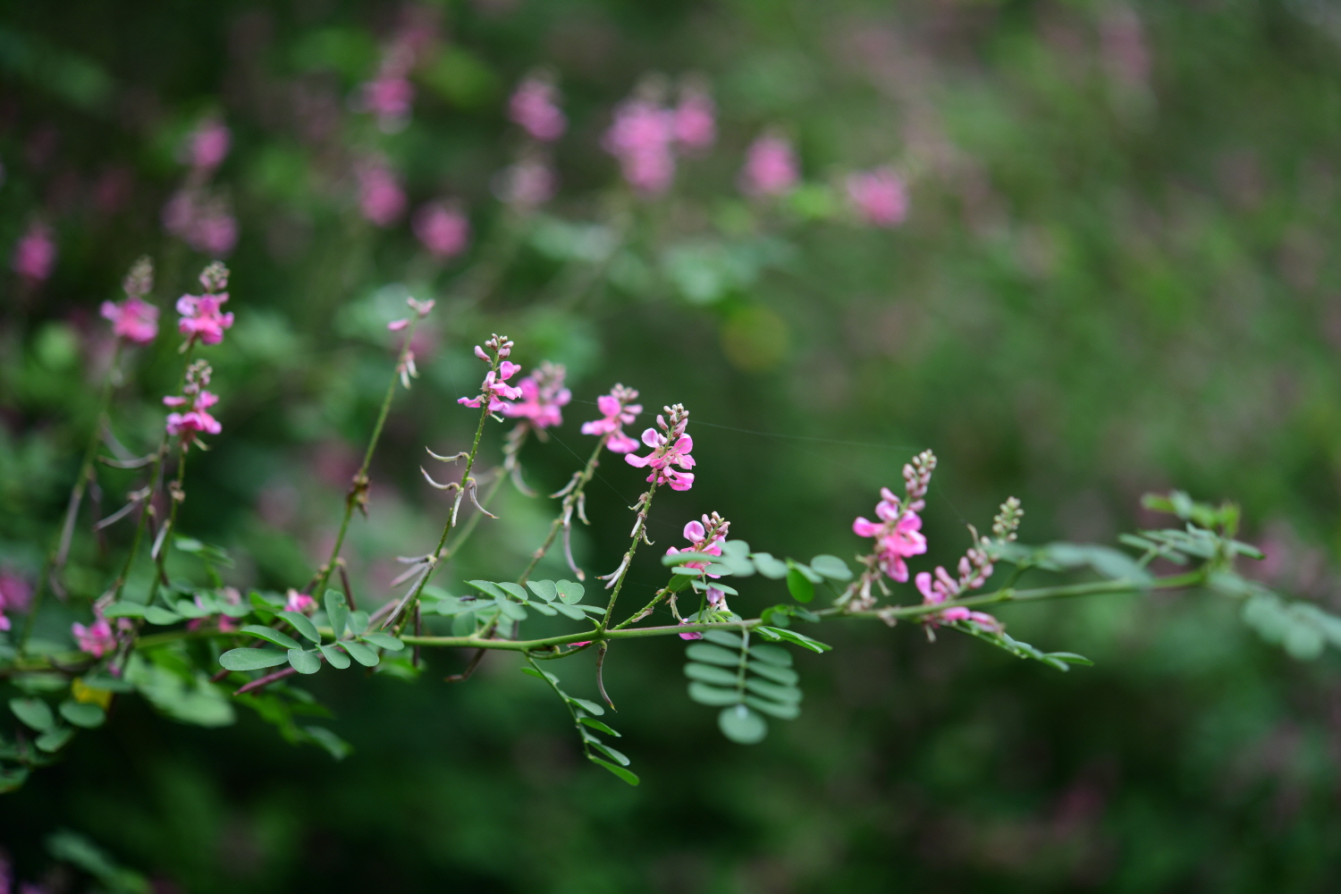 크기변환_DSC_6095.JPG