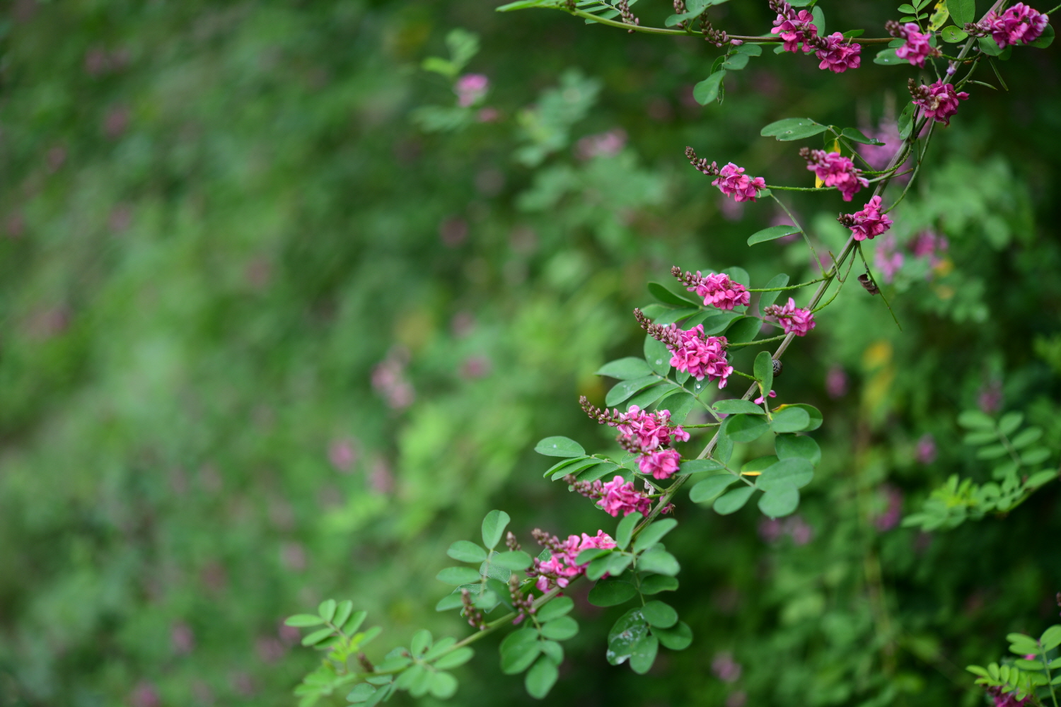 크기변환_DSC_6185.JPG