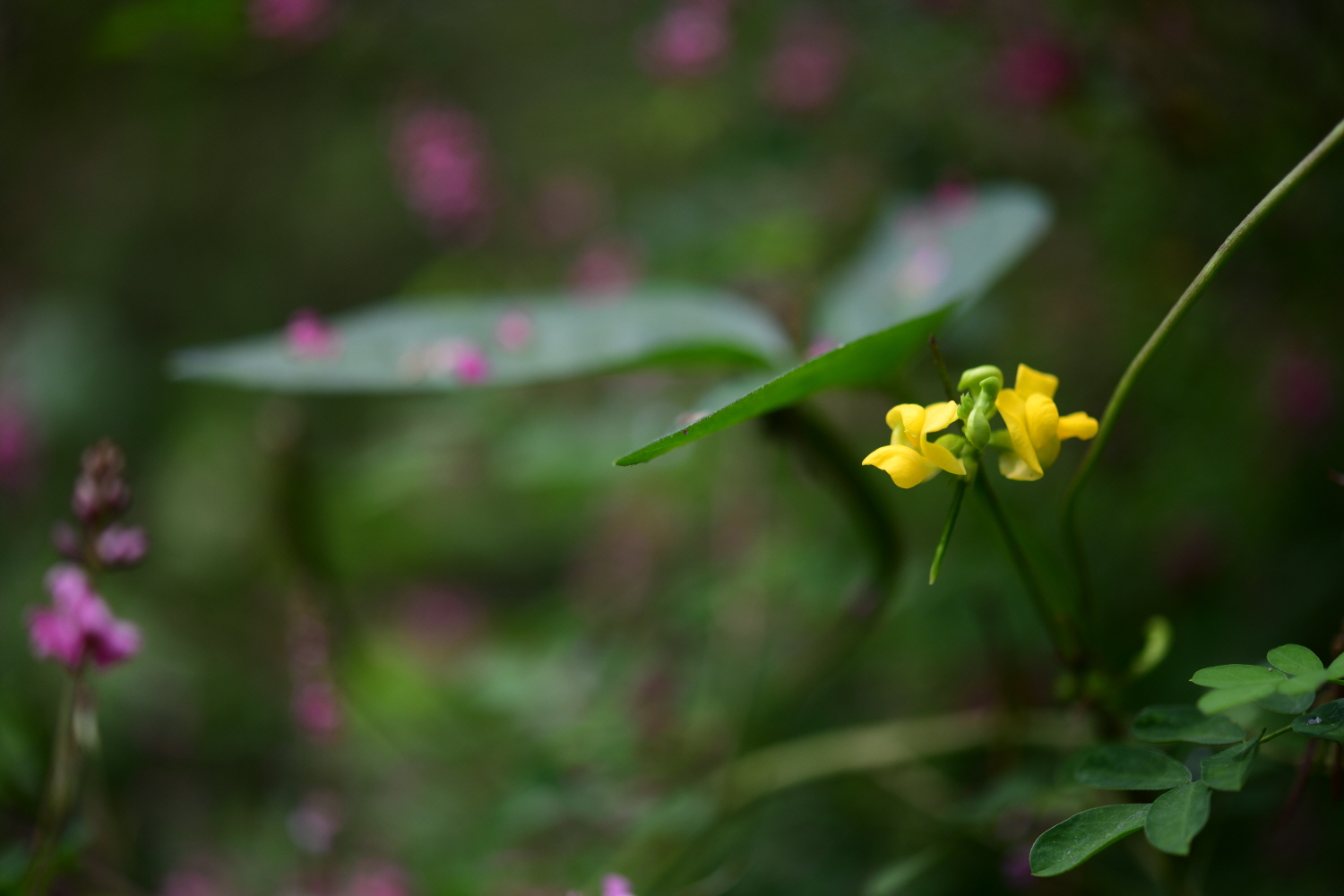 크기변환_DSC_6197.JPG