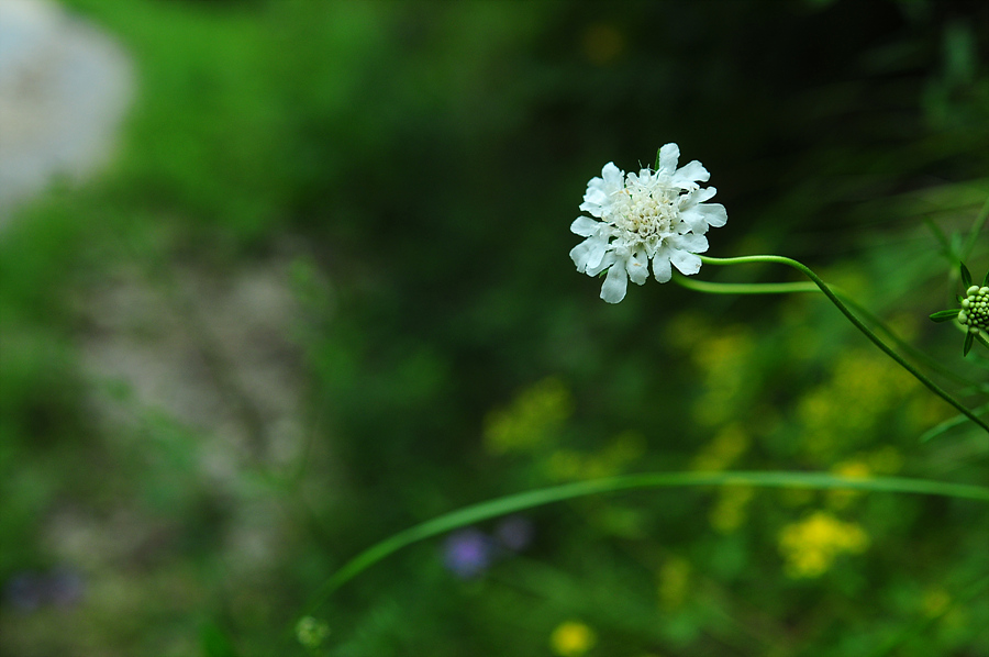 DSC_6819.jpg