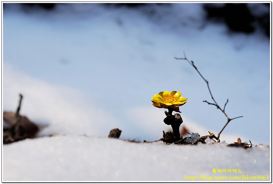 DSC_9385.jpg