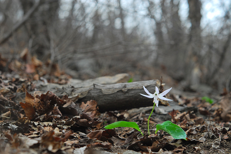 1-DSC_4454.jpg