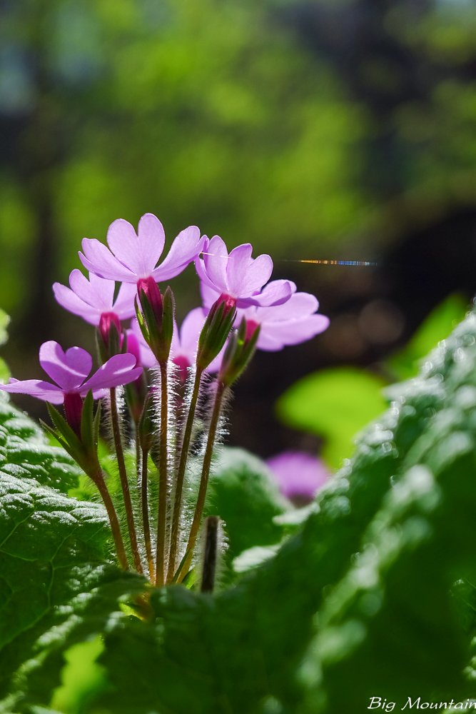 DSCF2160.jpg