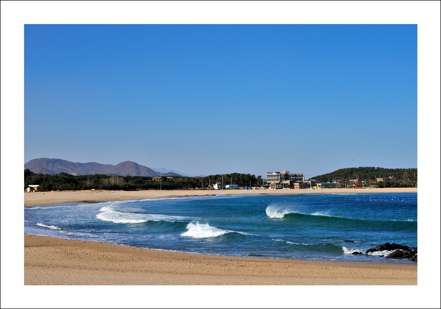 DSC_0918.jpg