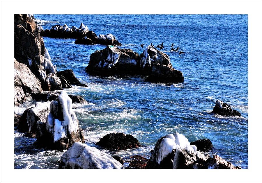 DSC_0801.jpg