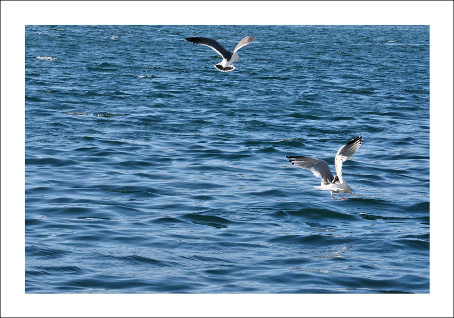 DSC_0717.jpg