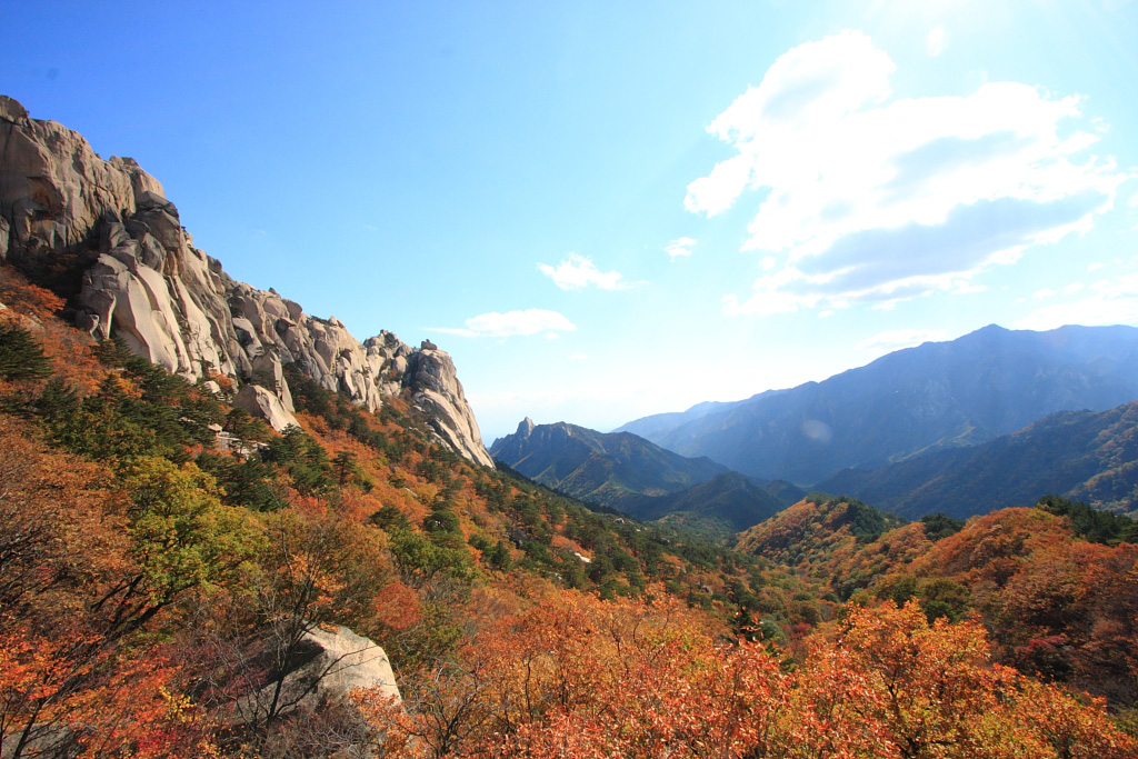 20101026_093.jpg