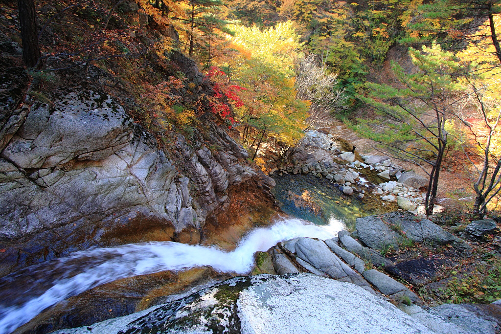 20101026_014.jpg