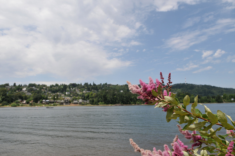 DSC_3576.jpg