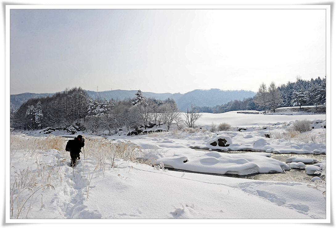 DSC_8175-1.jpg