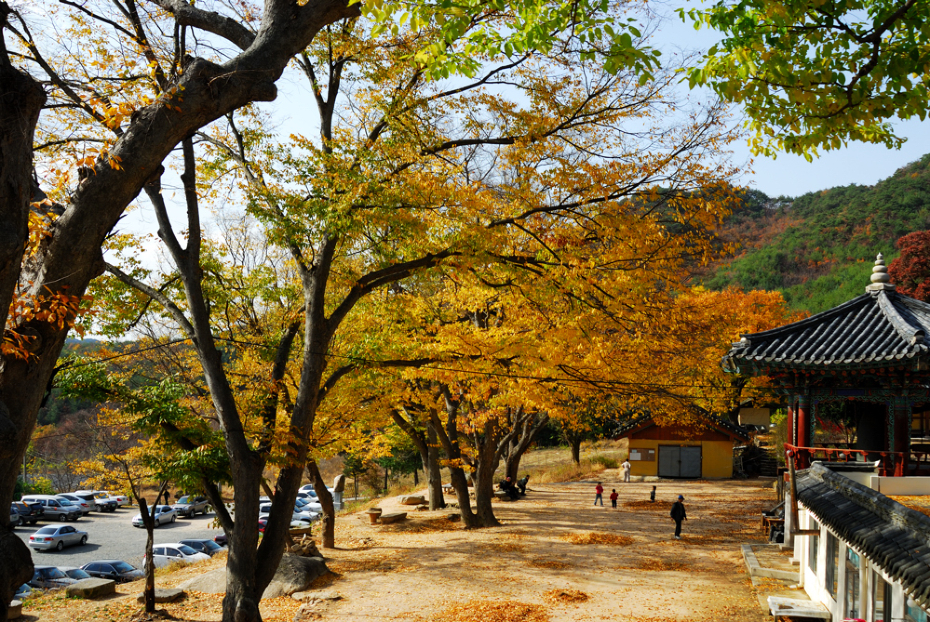 DSC_1175-1.jpg