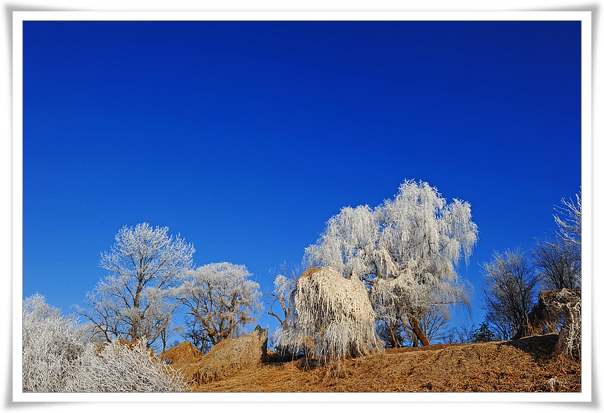 DSC_5451-1.jpg