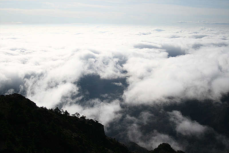 2009.11.11 026.jpg