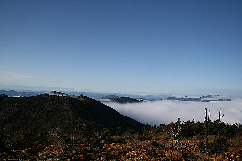 2009.11.11 013.jpg