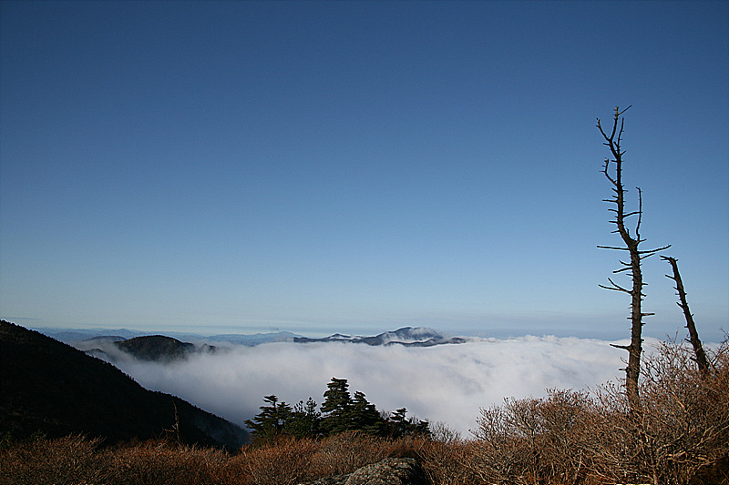 2009.11.11 011.jpg