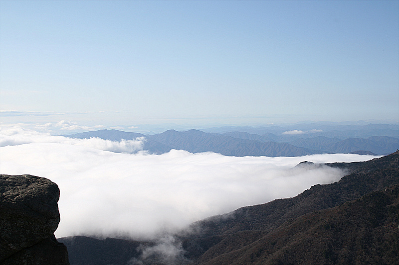 2009.11.11 030.jpg