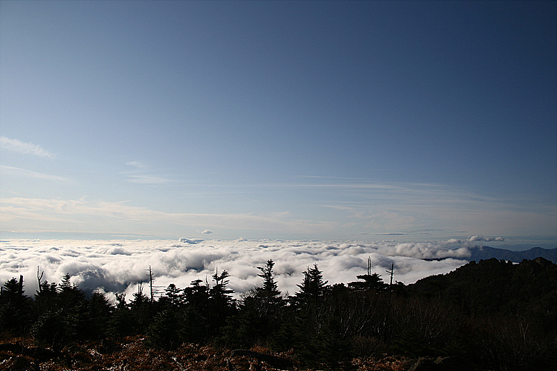 2009.11.11 014.jpg