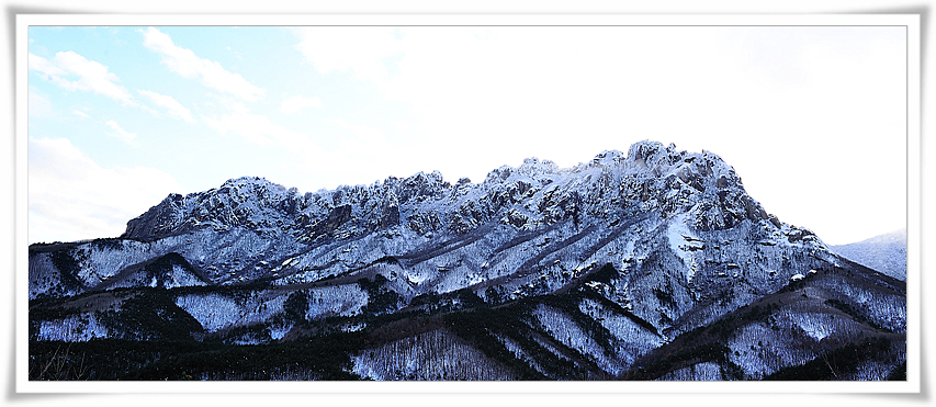 DSC_3526-2.jpg
