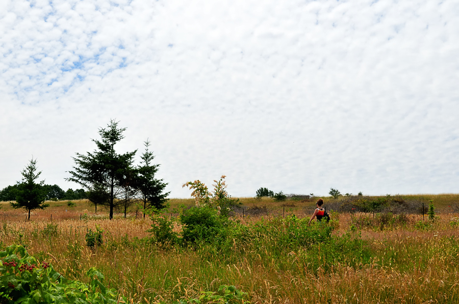 산책로의 여인DSC_3179.jpg