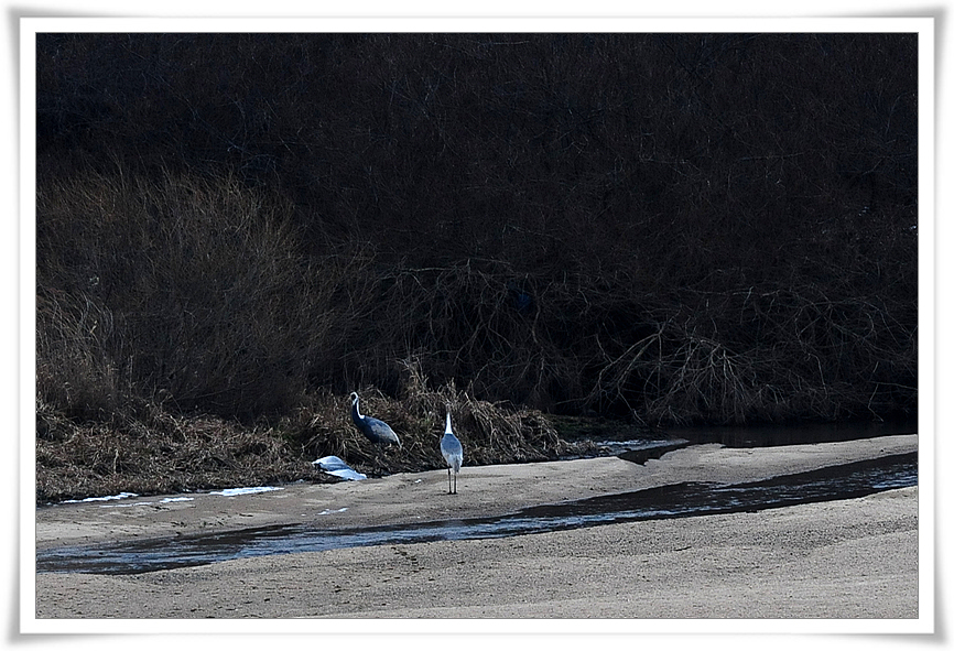 DSC_2679-1.jpg