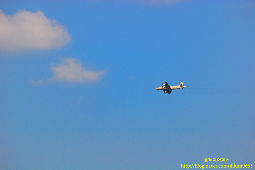 DSC_8912.jpg