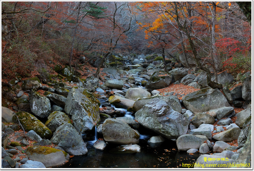 DSC_2937.jpg