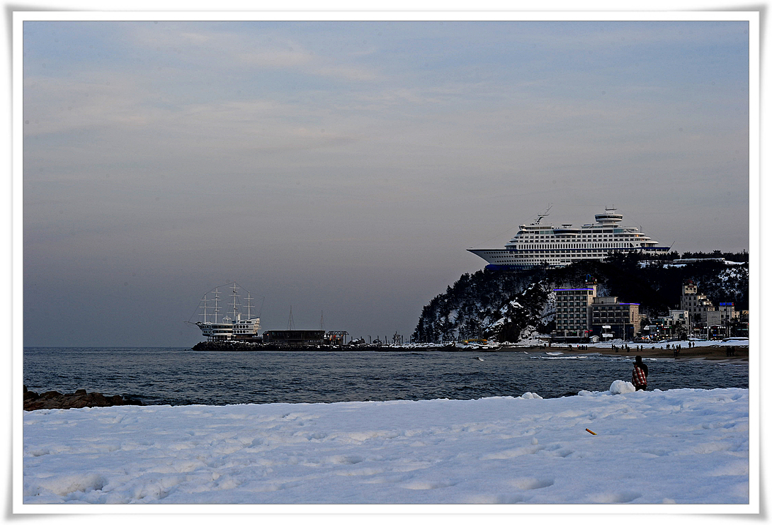 DSC_8482-1.jpg