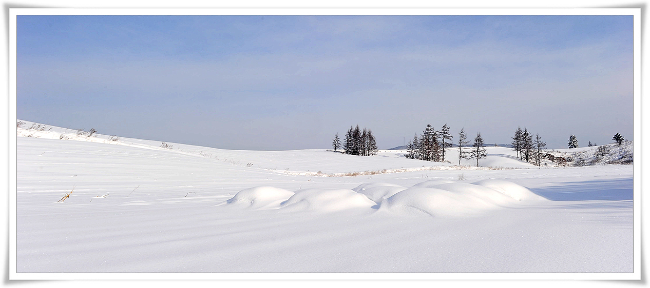 DSC_7992-1.jpg