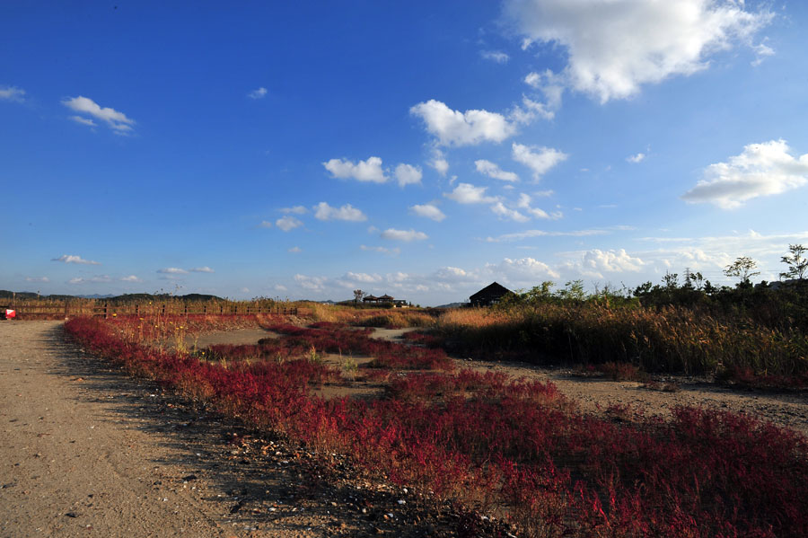 20111016_0012-1.jpg