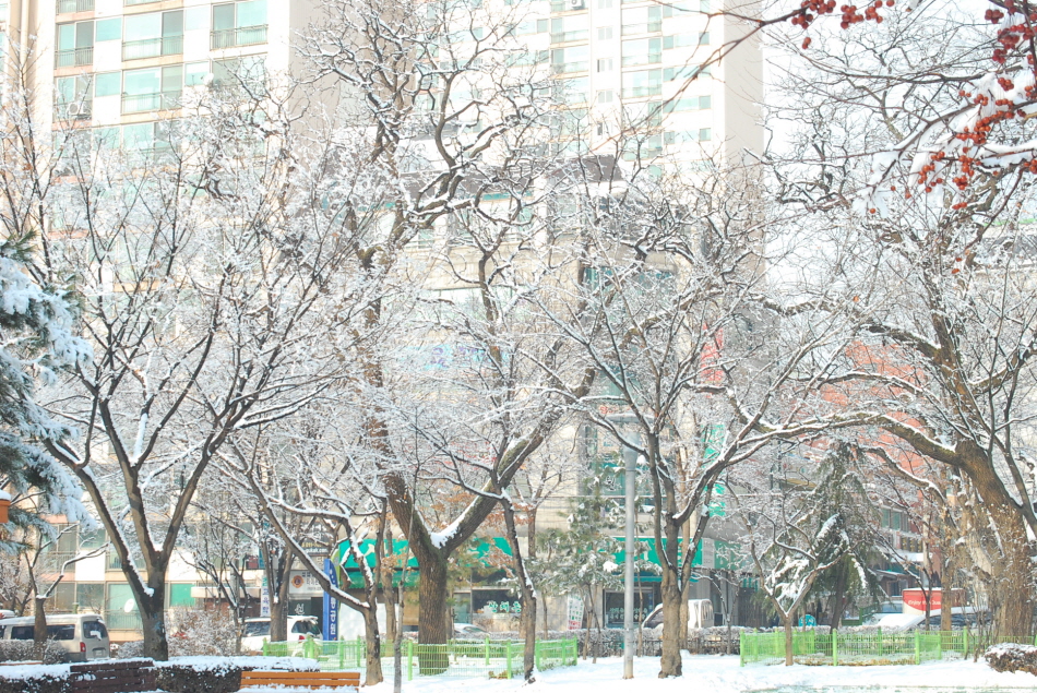 크기변환_DSC_0021.JPG