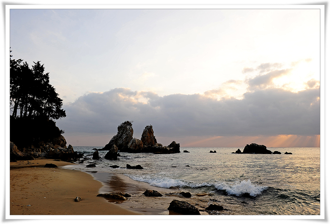 DSC_8700-1.jpg