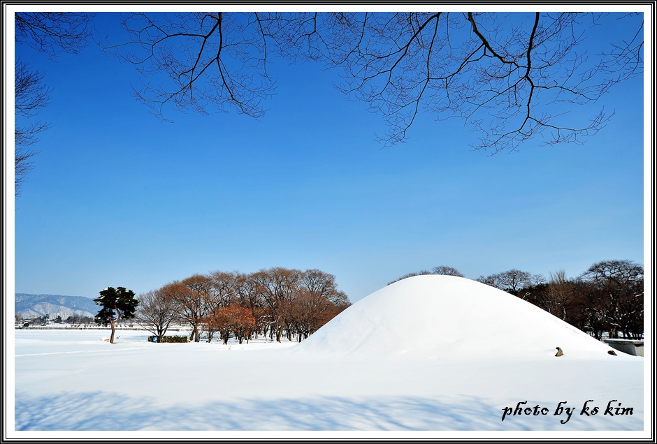 DSC_7140.jpg