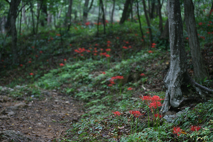 2009.09.21 104.jpg