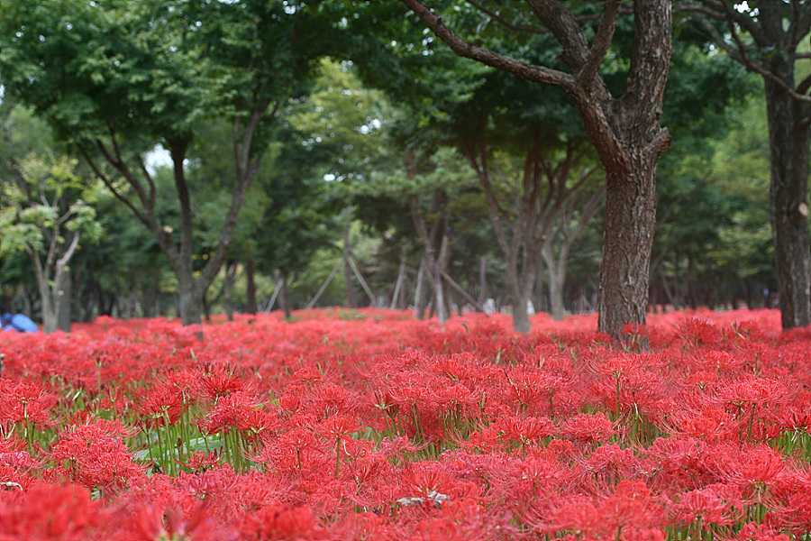 2009.09.21 107.jpg