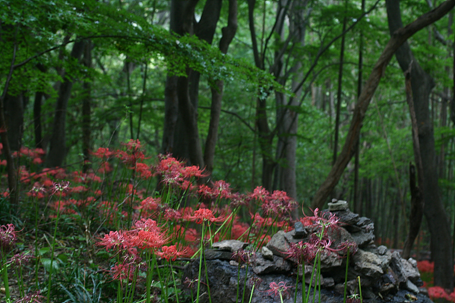 2009.09.21 010.jpg