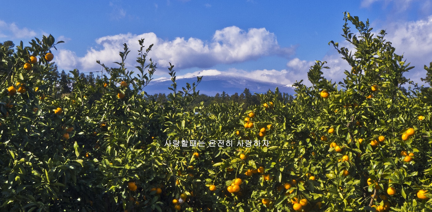 P1170261-1-ㅌ-141214x.jpg