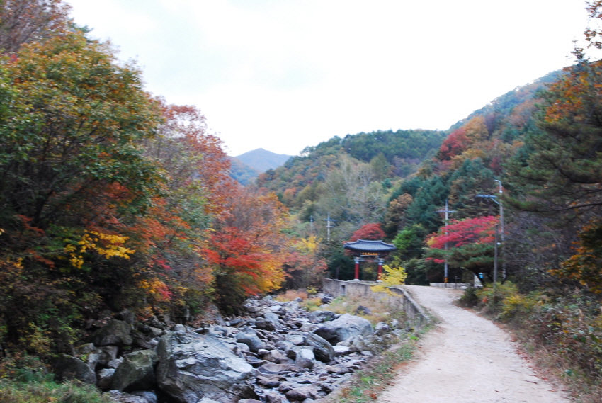 크기변환_DSC_0220.JPG