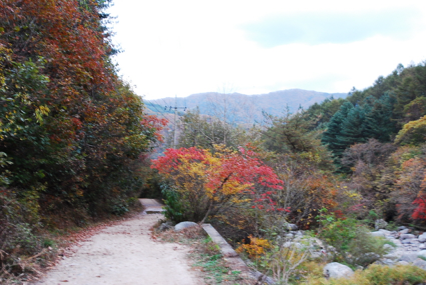 크기변환_DSC_0221.JPG